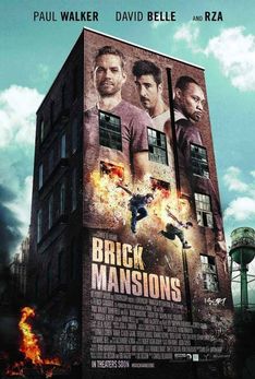 BRICK MANSION (2013)