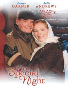 ONE SPECIAL NIGHT (1999)